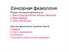 Сенсорная физиология