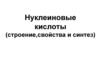 Нуклеиновые кислоты. Строение, свойства и синтез  (тема 13)