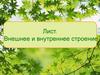 Лист. Внешнее и внутреннее строение