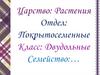 Особенности растений семейства Крестоцветные