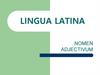 Lingua latina. Грамматические категории прилагательного