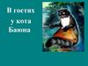В гостях у кота Баюна. Игра "Угадай сказку"