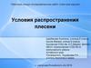 Условия распространения плесени