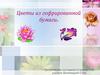 Цветы из гофрированной бумаги