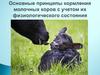Основные принципы коров с учетом их физиологического состояния