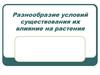Разнообразие условий существования, их влияние на растения