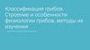 Классификация грибов. Строение и особенности физиологии грибов, методы их изучения