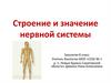 Строение и значение нервной системы. Биология. 8 класс