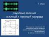 Звуковые явления в живой и неживой природе