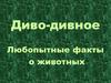 Диво-дивное. Любопытные факты о животных
