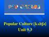 Popular Culture. Unit 9.3