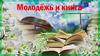 Молодёжь и книга. Книжная выставка