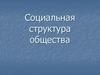Социальная структура общества