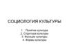 Социология культуры. Понятие культура