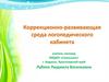 Коррекционно-развивающая среда логопедического кабинета