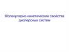 Молекулярно-кинетические свойства дисперсных систем