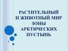 Растительный и животный мир зоны арктических пустынь