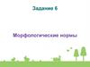Морфологические нормы. Задание 6