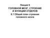 Лекция 6. Головной мозг, строение и функции отделов. Тема 6.1. Общий план строения головного мозга