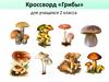 Кроссворд «Грибы» для учащихся 2 класса