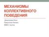 Механизмы коллективного поведения
