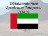 Объединенные Арабские Эмираты (ОАЭ)