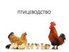Птицеводство