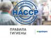Правила гигиены