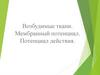 Возбудимые ткани. Мембранный потенциал. Потенциал действия