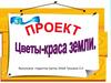 Цветы - краса земли