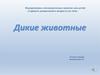 Дикие животные