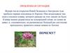 Строение цветка. Виды опыления. Цветение и опыление растений. Виды опыления