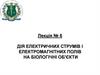 Дія електричних струмів і електромагнітних полів на біологічні об'єкти. Лекція №6