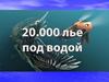 По следам героев книги Жюля Верна «Двадцать тысяч лье под водой»