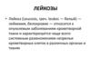 Лейкозы. Основная характерная особенность