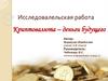Исследовательская работа "Криптовалюта – деньги будущего"