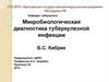 Микробиологическая диагностика туберкулёзной инфекции