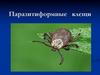 Паразитиформные клещи