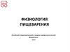 Физиология пищеварения