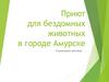 Приют для бездомных животных в городе Амурске