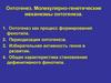 Онтогенез. Молекулярно-генетические механизмы онтогенеза