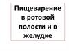 Пищеварение в ротовой полости и в желудке