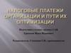 Налоговые платежи организации и пути их оптимизации