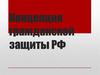 Концепция гражданской защиты РФ  (лекция № 3)