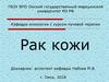 Рак кожи. Строение кожи