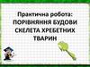 Порівняння будови скелета хребетних тварин