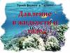 Давление в жидкости и газе. Уроки физики в 7 классе