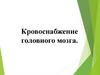 Кровоснабжение головного мозга