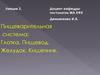 Пищеварительная система: Глотка. Пищевод. Желудок. Кишечник. Лекция 3