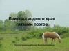 Природа родного края глазами поэтов